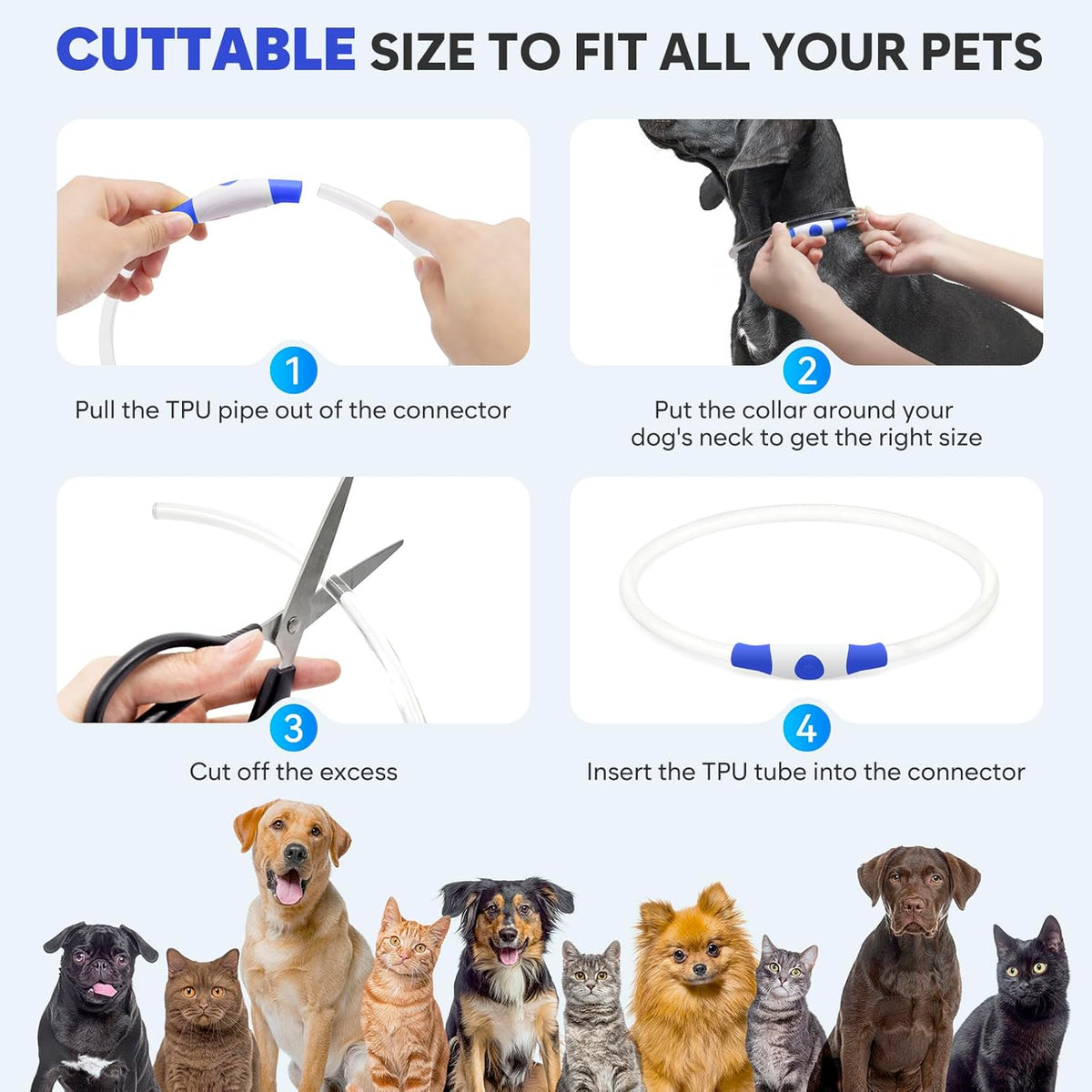 Light up LED Dog Collar - USB Rechargeable, Waterproof, TPU Safety Collar for Night Walks (Adjustable for All Dog Sizes)