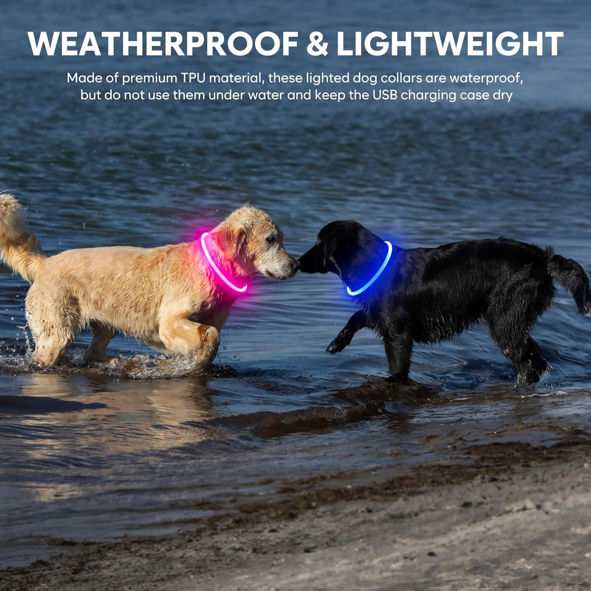 Light up LED Dog Collar - USB Rechargeable, Waterproof, TPU Safety Collar for Night Walks (Adjustable for All Dog Sizes)