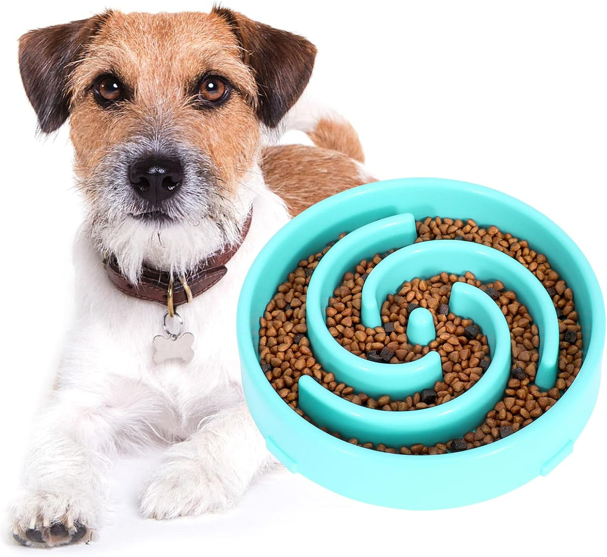 Slow Feeder Dog Bowl - Non-Slip Maze Design for Small, Medium & Large Dogs (Promotes Healthy Eating, Prevents Bloatin & Choking, Interactive Puzzle Feeder) 